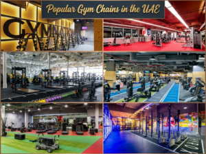 Popular Gym Chains in the UAE,KhaleejFusion