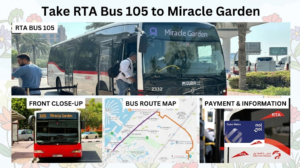 Dubai RTA Bus 105 to Miracle Garden with route map and Nol card fare payment info, KhaleejFusion