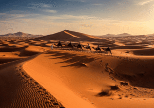 A caravan of camels led by guides walking across vast golden sand dunes during a Dubai desert safari, Khaleej Fusion