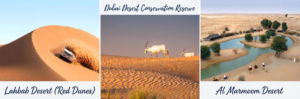 Infographic featuring major Dubai desert safari locations including Lahbab Desert red dunes, Dubai Desert Conservation Reserve, and Al Marmoom Desert, Khaleej Fusion