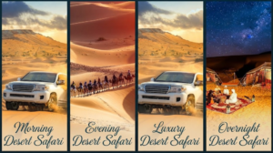 Infographic showcasing different types of Dubai desert safaris including morning, evening, luxury, and overnight experiences, Khaleej Fusion