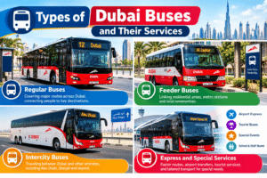 Infographic detailing types of Dubai buses, including regular, feeder, intercity, express, and special services, Khaleej Fusion